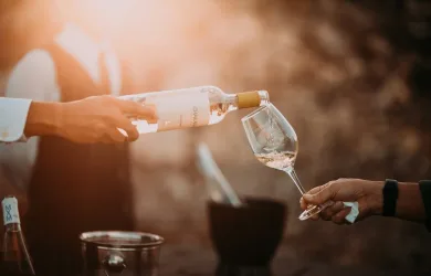 person holding wine glass bottle